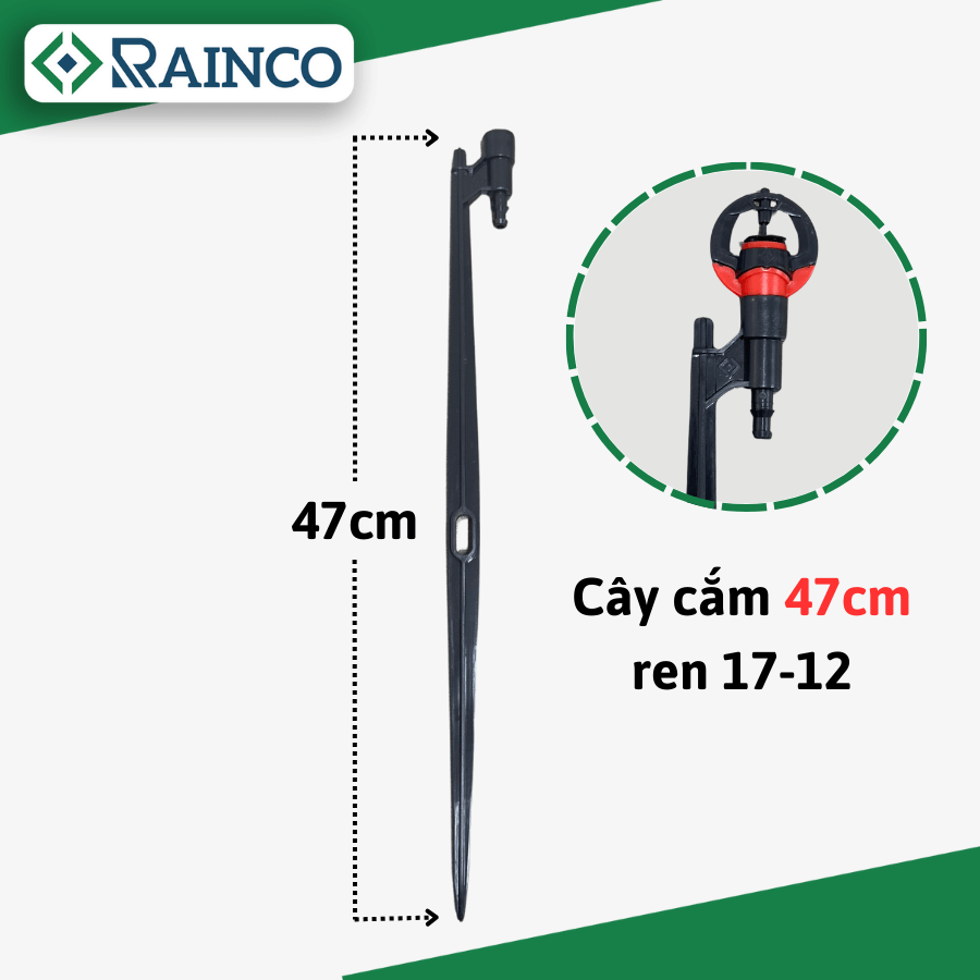 Cây cắm 17 ra 12