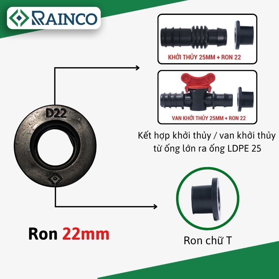 Ron 22mm