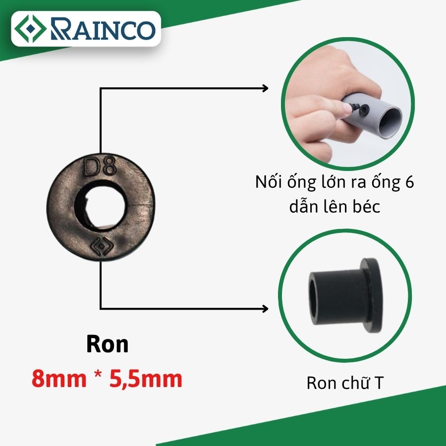 Ron 8_5,5mm